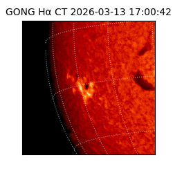 gong - 2026-03-13T17:00:42