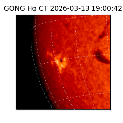 gong - 2026-03-13T19:00:42