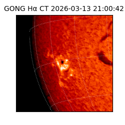 gong - 2026-03-13T21:00:42