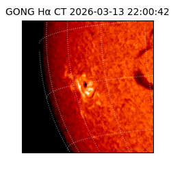 gong - 2026-03-13T22:00:42