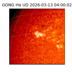 gong - 2026-03-13T04:00:02