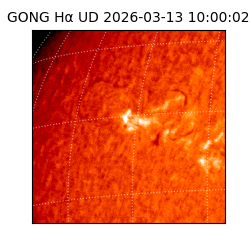 gong - 2026-03-13T10:00:02