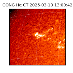 gong - 2026-03-13T13:00:42