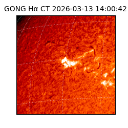 gong - 2026-03-13T14:00:42