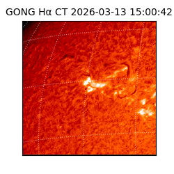 gong - 2026-03-13T15:00:42