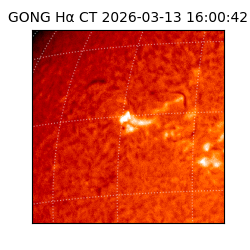 gong - 2026-03-13T16:00:42