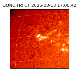 gong - 2026-03-13T17:00:42