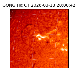 gong - 2026-03-13T20:00:42