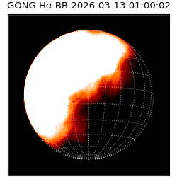 gong - 2026-03-13T01:00:02