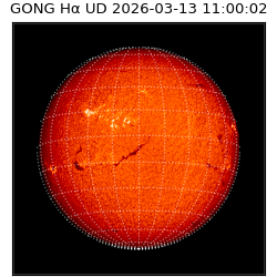 gong - 2026-03-13T11:00:02