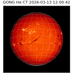 gong - 2026-03-13T12:00:42