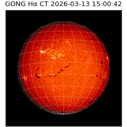 gong - 2026-03-13T15:00:42