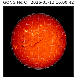gong - 2026-03-13T16:00:42