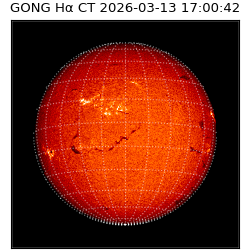 gong - 2026-03-13T17:00:42