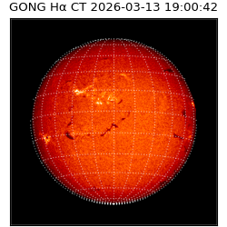 gong - 2026-03-13T19:00:42