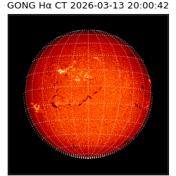 gong - 2026-03-13T20:00:42