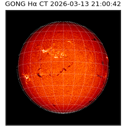 gong - 2026-03-13T21:00:42