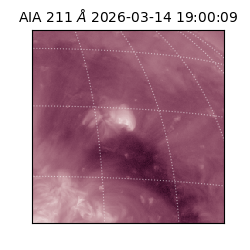 saia - 2026-03-14T19:00:09.622000