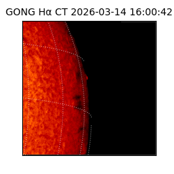 gong - 2026-03-14T16:00:42