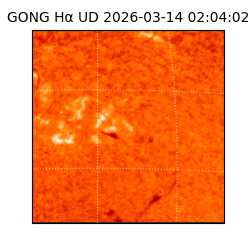 gong - 2026-03-14T02:04:02