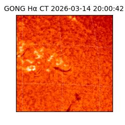 gong - 2026-03-14T20:00:42