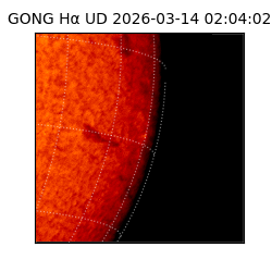 gong - 2026-03-14T02:04:02