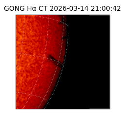 gong - 2026-03-14T21:00:42