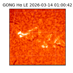 gong - 2026-03-14T01:00:42