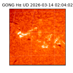 gong - 2026-03-14T02:04:02