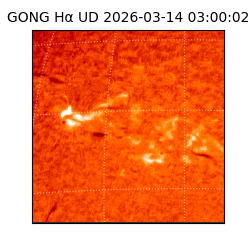 gong - 2026-03-14T03:00:02