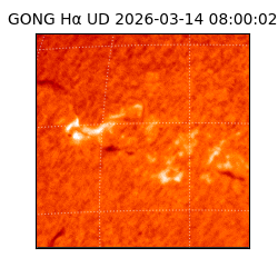 gong - 2026-03-14T08:00:02