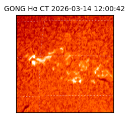 gong - 2026-03-14T12:00:42