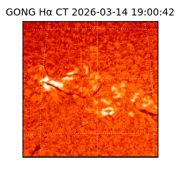 gong - 2026-03-14T19:00:42