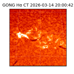 gong - 2026-03-14T20:00:42