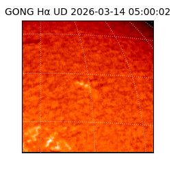 gong - 2026-03-14T05:00:02