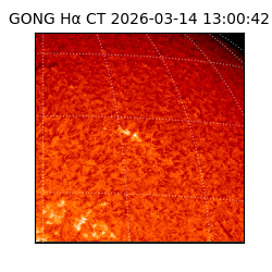 gong - 2026-03-14T13:00:42