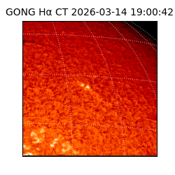 gong - 2026-03-14T19:00:42