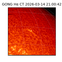 gong - 2026-03-14T21:00:42