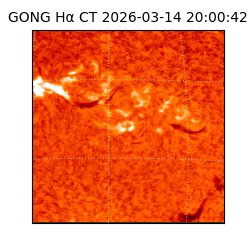 gong - 2026-03-14T20:00:42