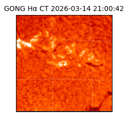 gong - 2026-03-14T21:00:42
