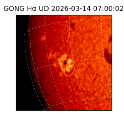 gong - 2026-03-14T07:00:02