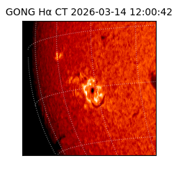 gong - 2026-03-14T12:00:42