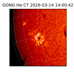 gong - 2026-03-14T14:00:42