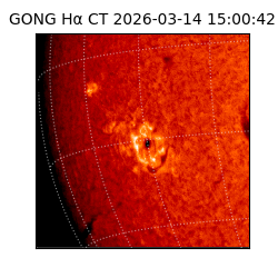 gong - 2026-03-14T15:00:42