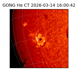 gong - 2026-03-14T16:00:42