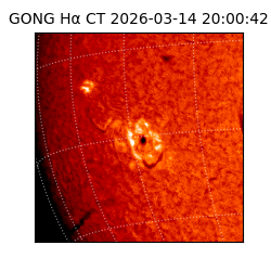 gong - 2026-03-14T20:00:42