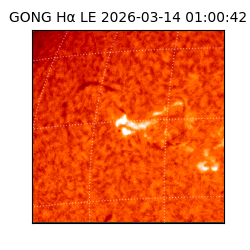 gong - 2026-03-14T01:00:42