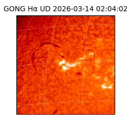 gong - 2026-03-14T02:04:02