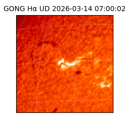 gong - 2026-03-14T07:00:02