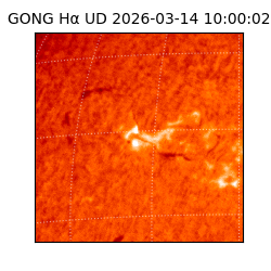 gong - 2026-03-14T10:00:02